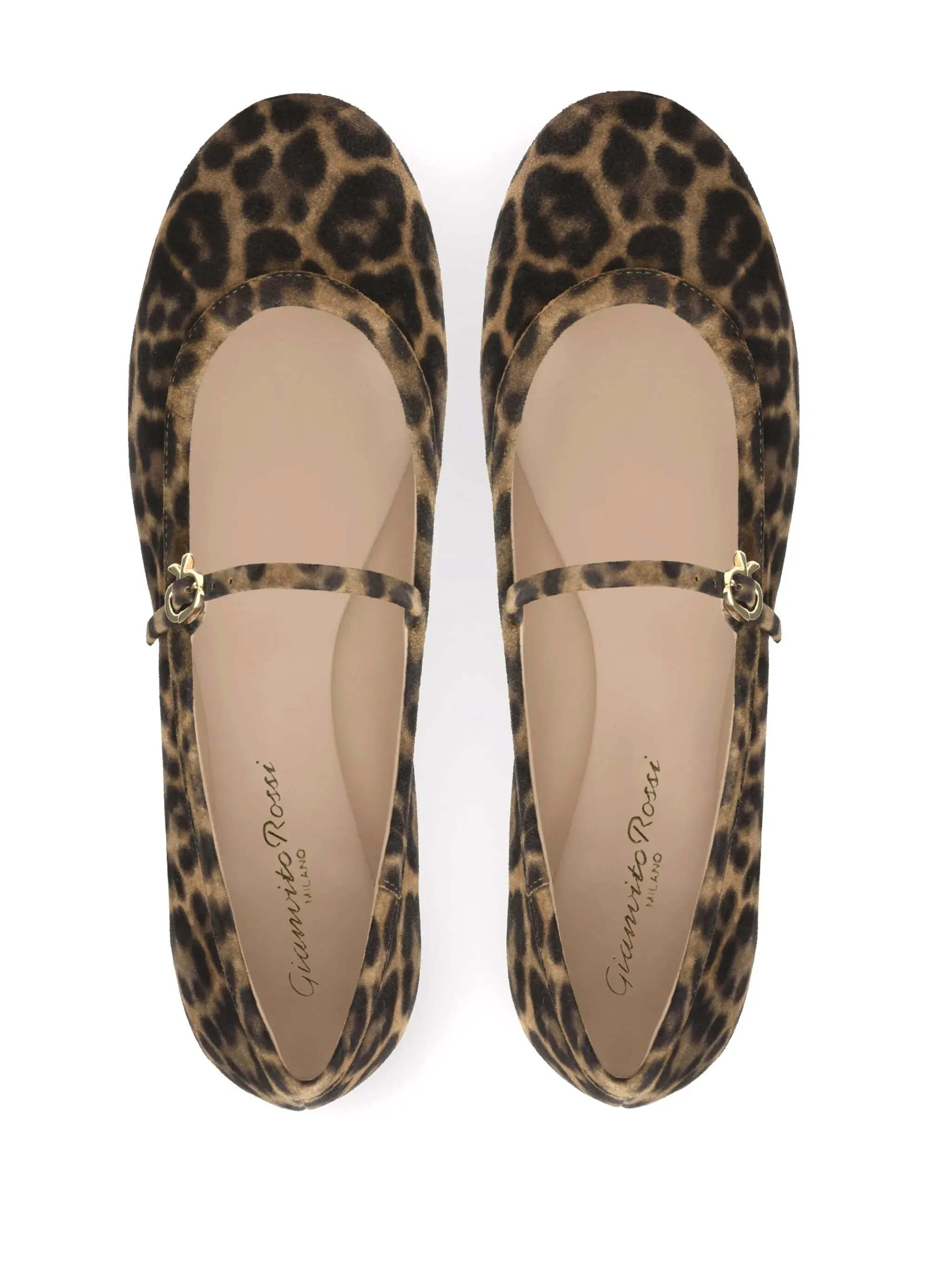 Flat Shoes With Laces Carla leopard-pattern ballerina shoes
