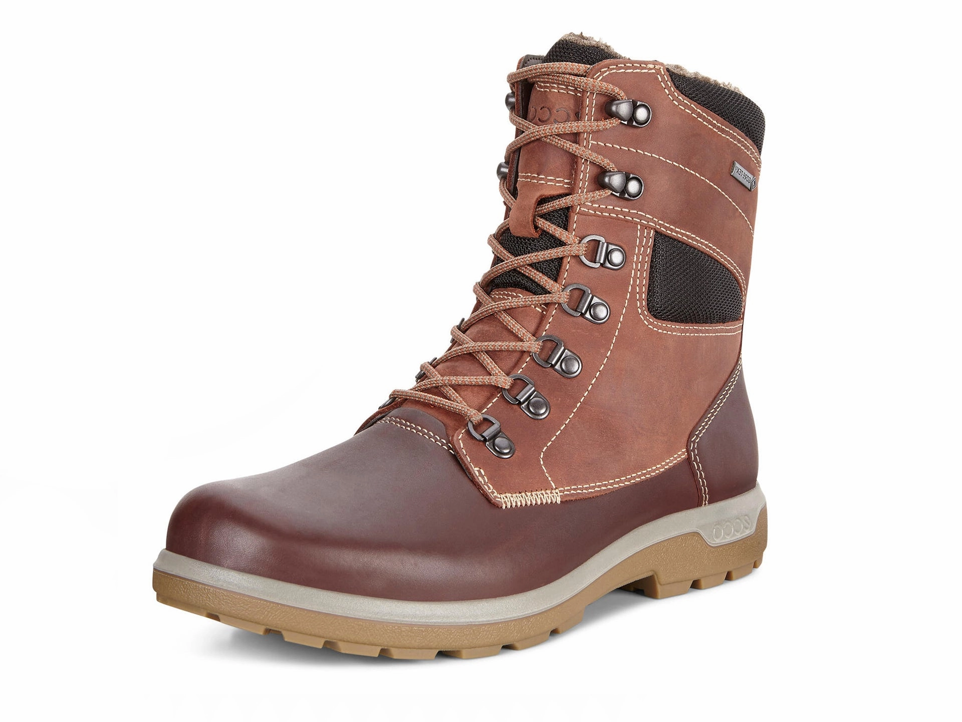 ECCO Whistler GTX Boot Wetkiss Boots