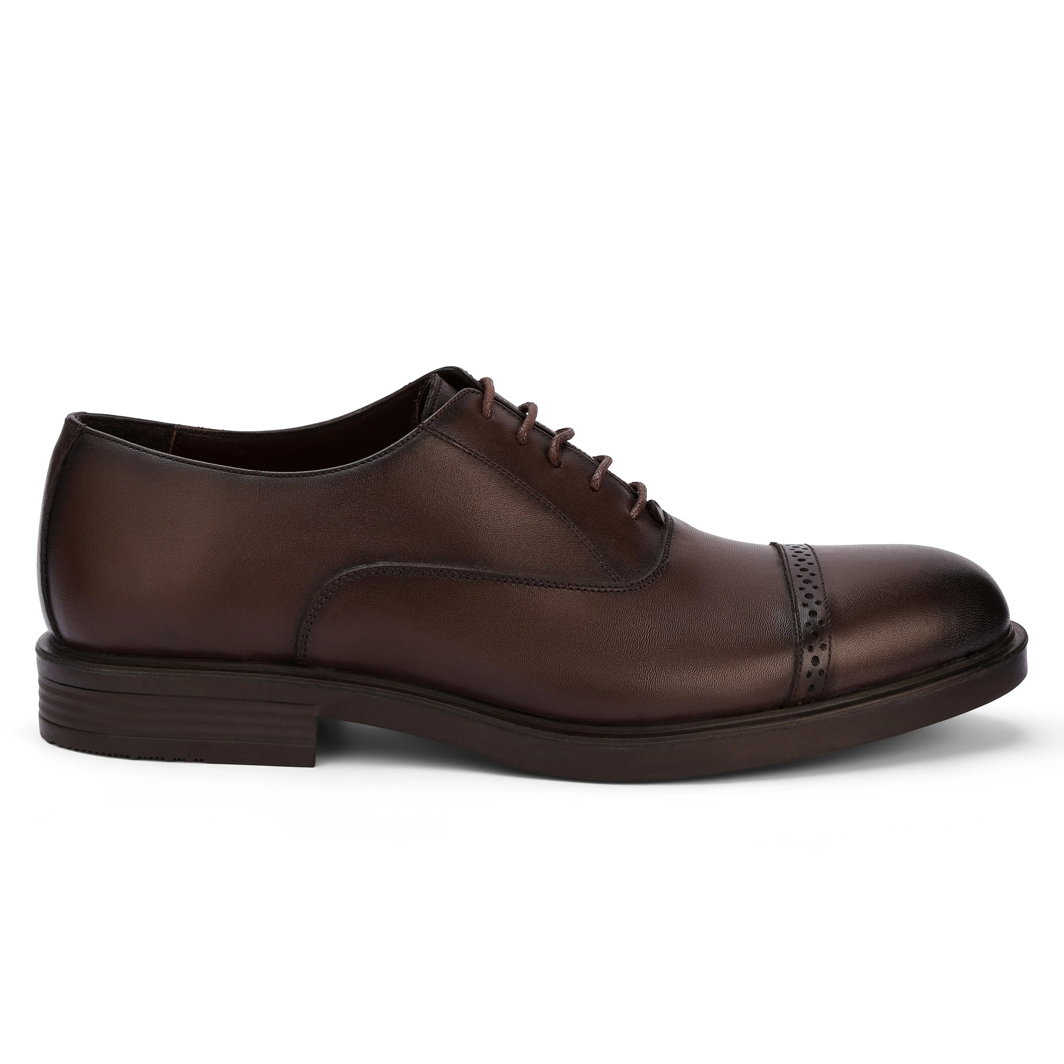Royal Oxford Brio Premium Oxford Shoes - (brown)