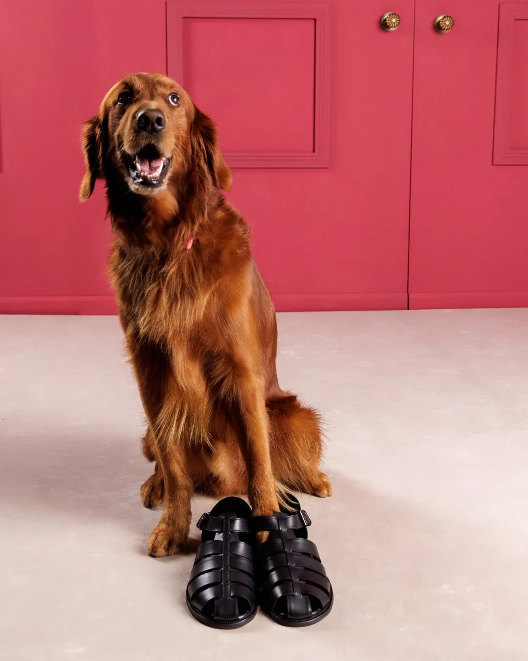 Donald Pliner Sandals Finn Black Burshed Calf