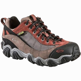 Hiking Shoes For Motorcycle Riding Firebrand II Low Waterproof