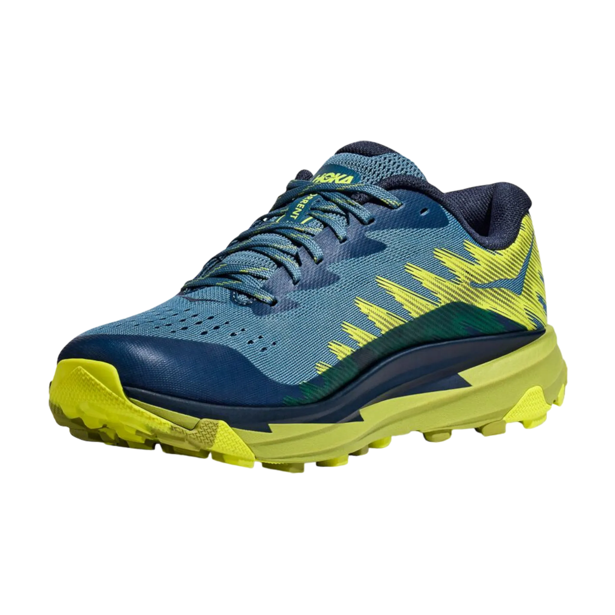 Men's Torrent 3 Waterproof Hiking Shoes Boots