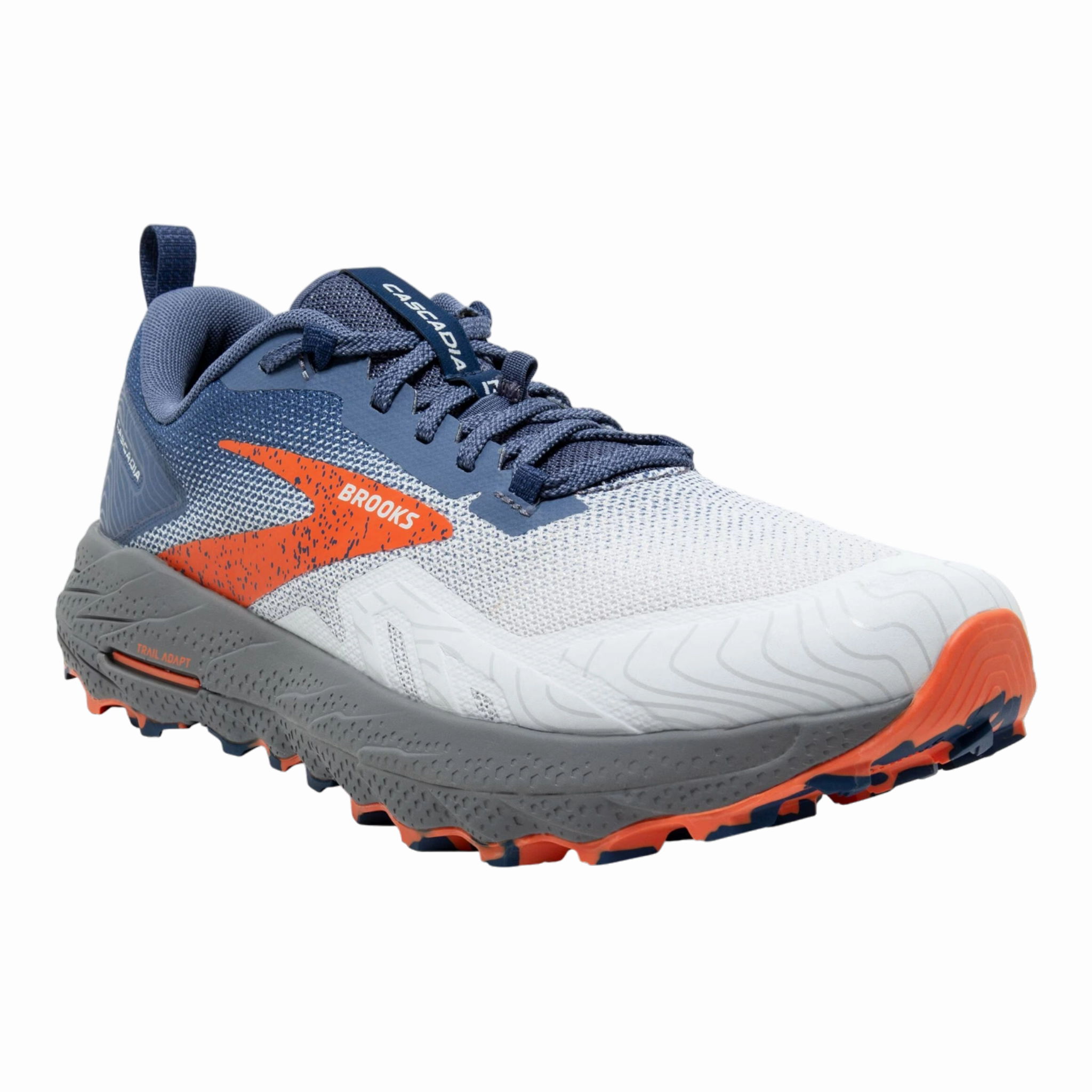 Top Ten Hiking Shoes Men's Cascadia 17