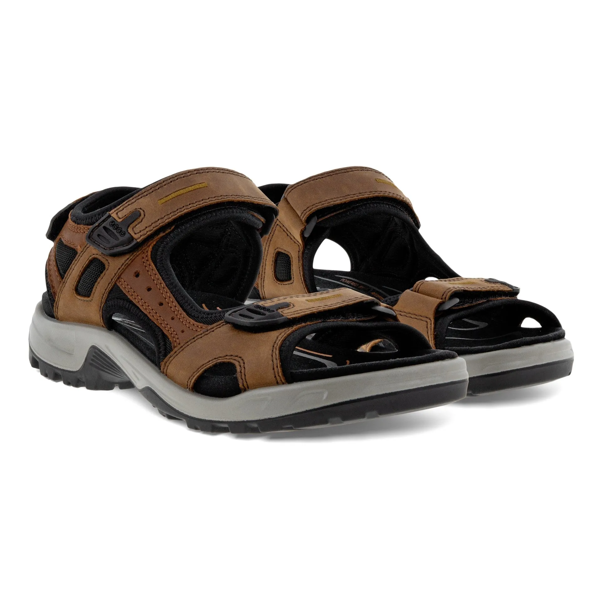 ECCO YUCATAN MEN BROWN - 06956456401 MEN'S Wide Wedge Sandals