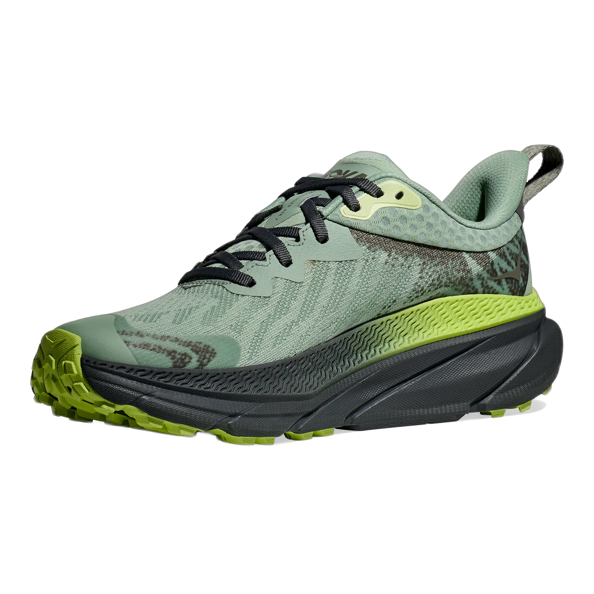 Men's Challenger 7 GTX Sky Toa Hiking Shoes