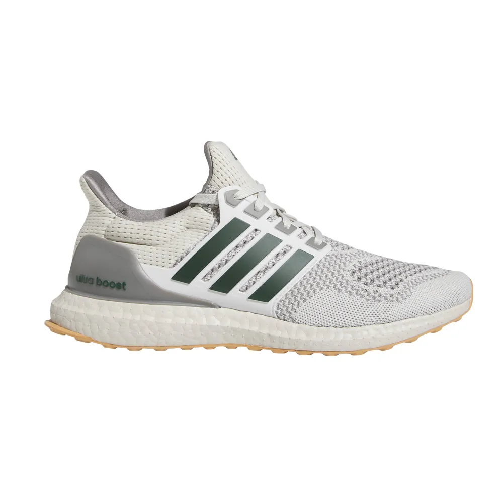 Terrex Adidas Hiking Shoes Ultraboost 1 Running Shoes