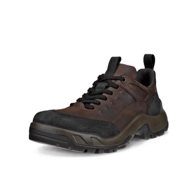 ECCO Men's Offroad Waterproof V2 Boot (PFAS Free) - Mocha Best Hiking Shoes For Summer