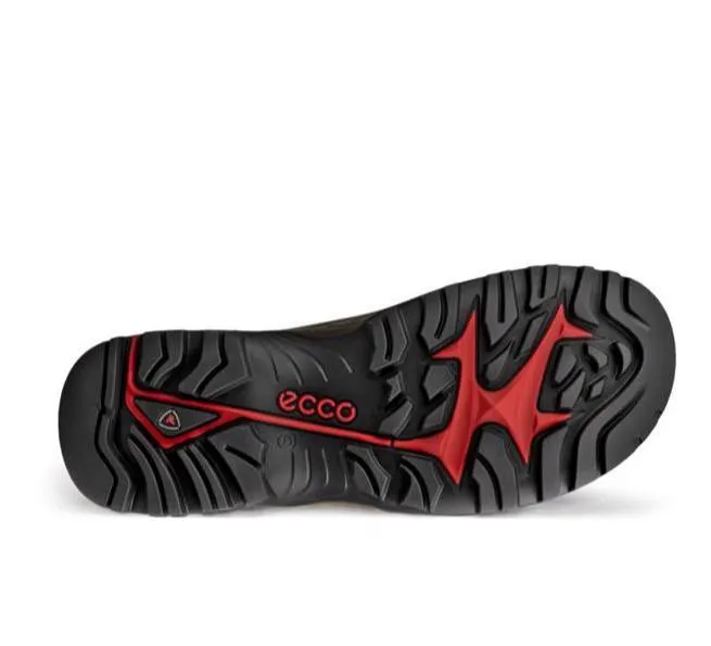 Trekking Or Hiking Shoes ECCO Men's Offroad Waterproof V2 Boot (PFAS Free) - Mocha