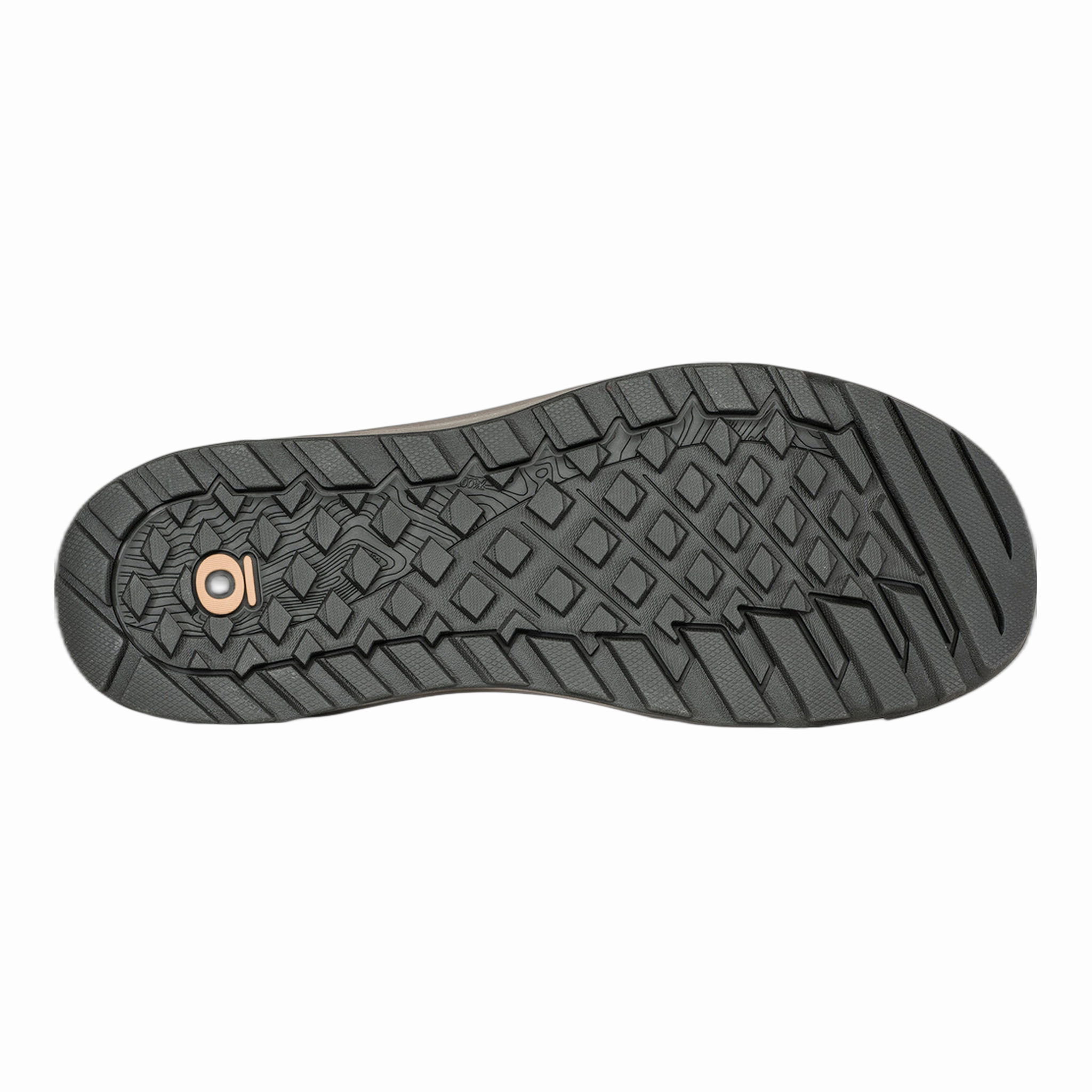 Camel Hiking Shoes Review Men's Beall Low