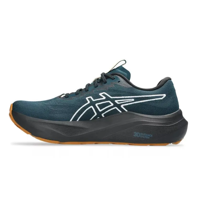 Mens Asics GT-2000 14 TR (D-Width) Asics Shoes Ranking