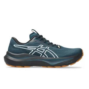 Asics Tiger Weightlifting Shoes Mens Asics GT-2000 14 TR (D-Width)
