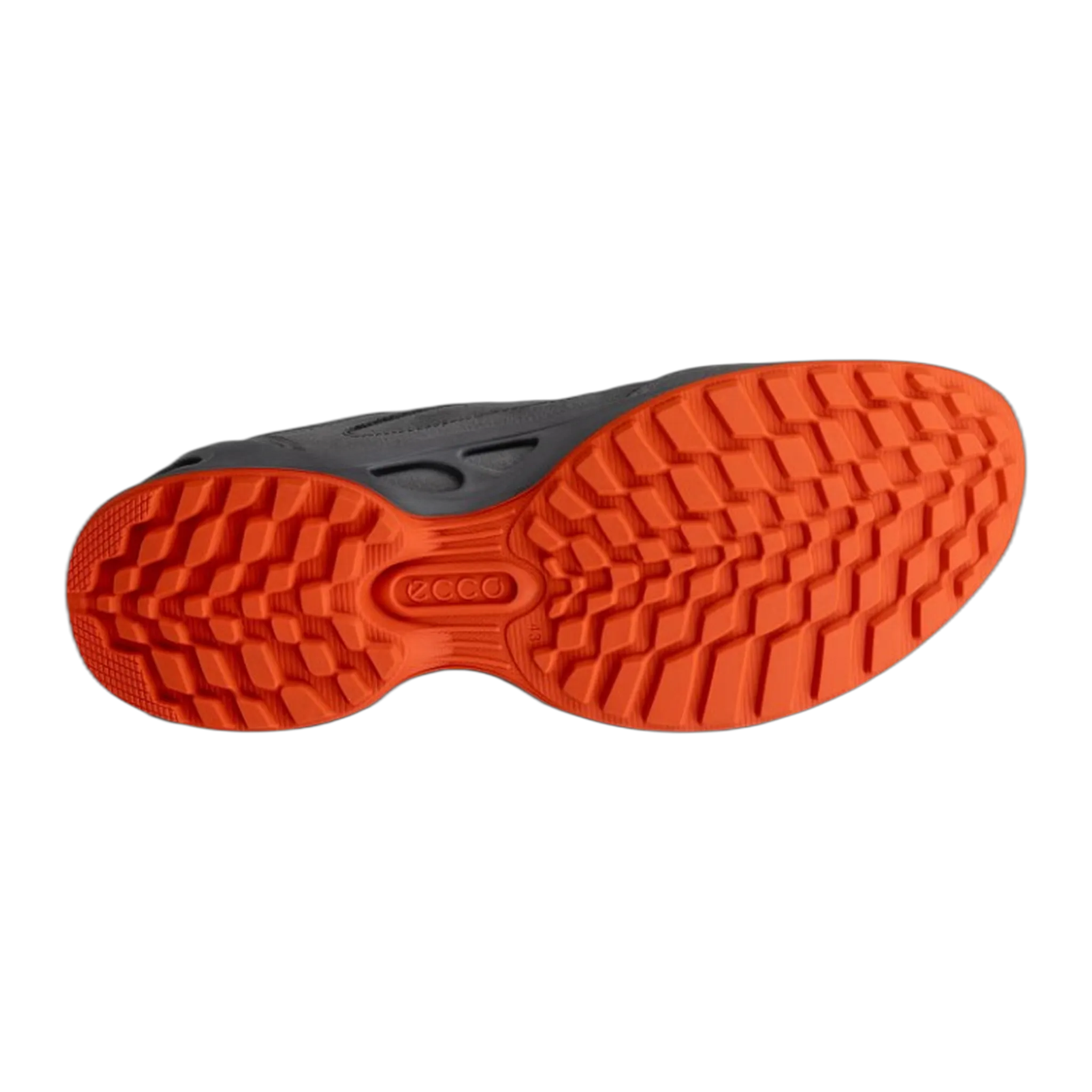 Best Hiking Shoes For California ECCO Biom Energi M Sneaker