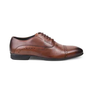 The Gford Brown Blanc Oxford