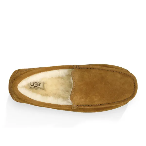 UGG Men's Ascot Slipper Chestnut Fluffy Slider Slippers