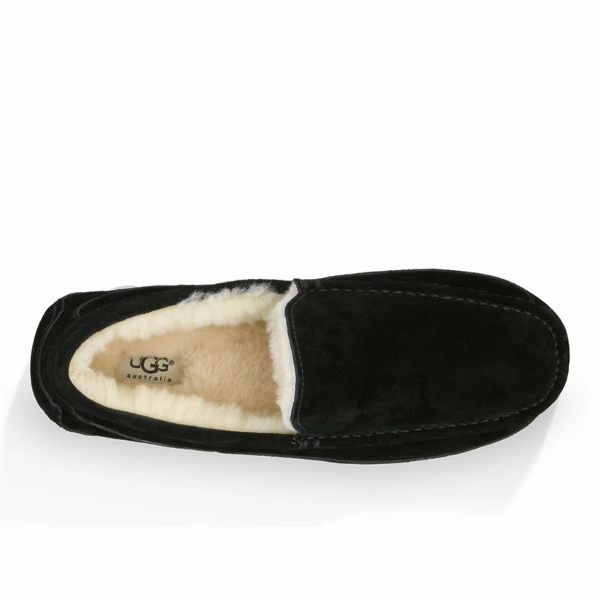 Low Slippers UGG Men's Ascot Slipper Black