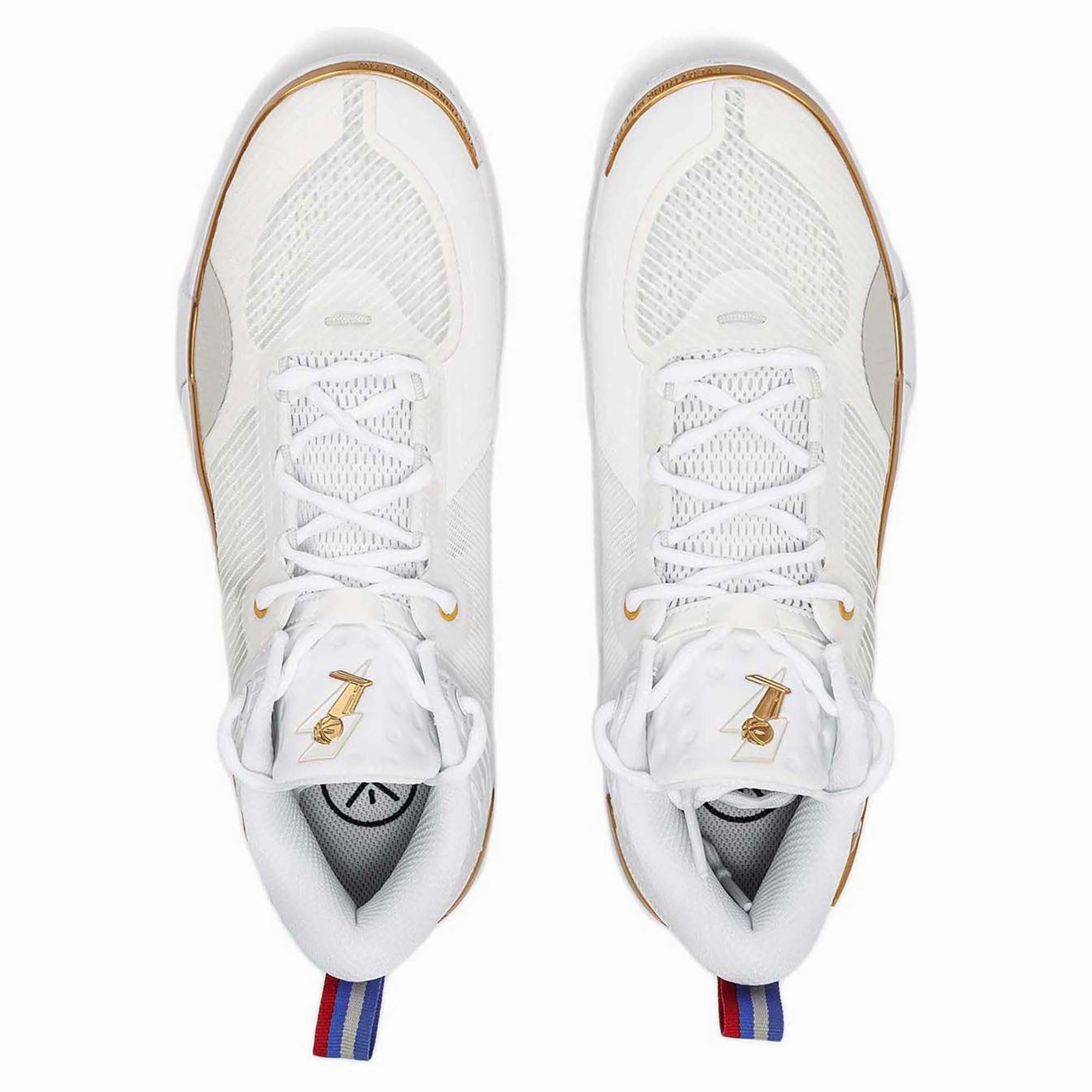 Low Arch Basketball Shoes Wade Shadow 6 V2 'Champion' Men's Basketball Shoes